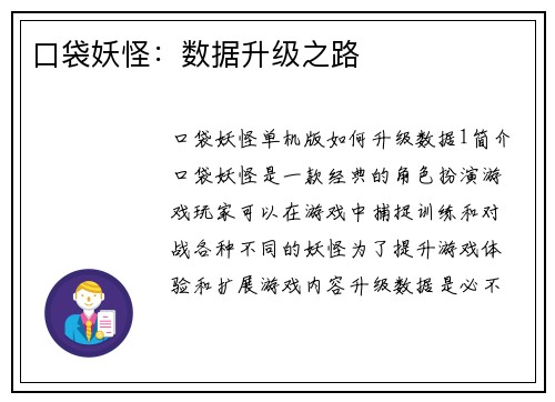 口袋妖怪：数据升级之路